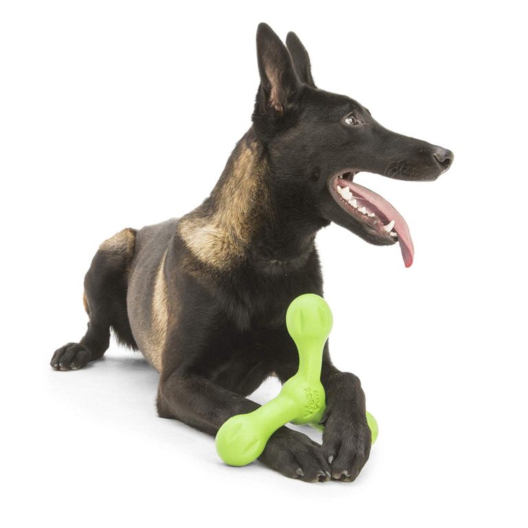 West Paw Westpaw Design Skamp with Zogoflex Echo