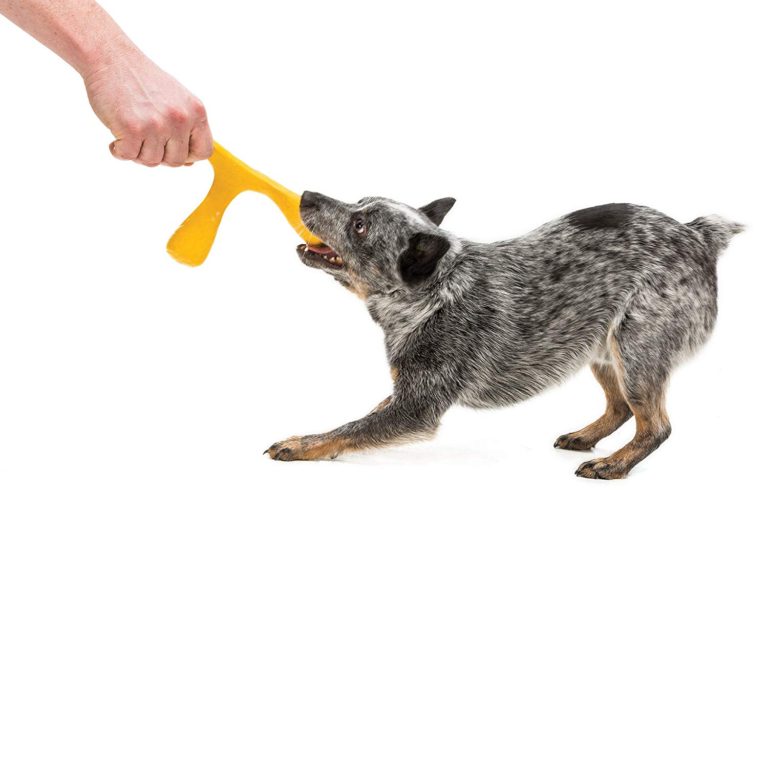 West Paw Wox Dog Toy