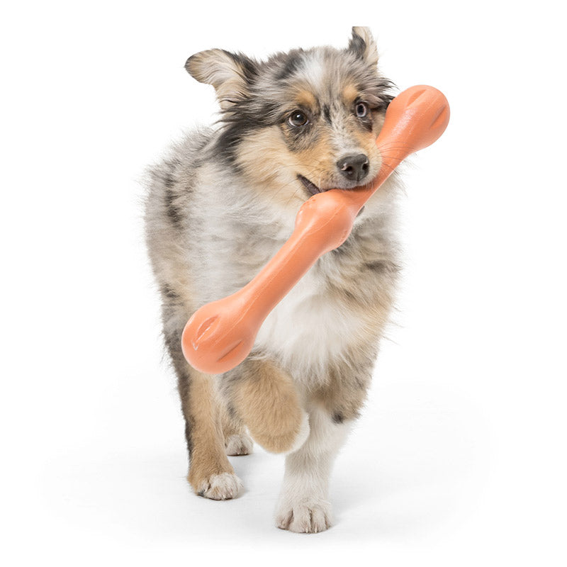 West Paw Zwig Dog Toy