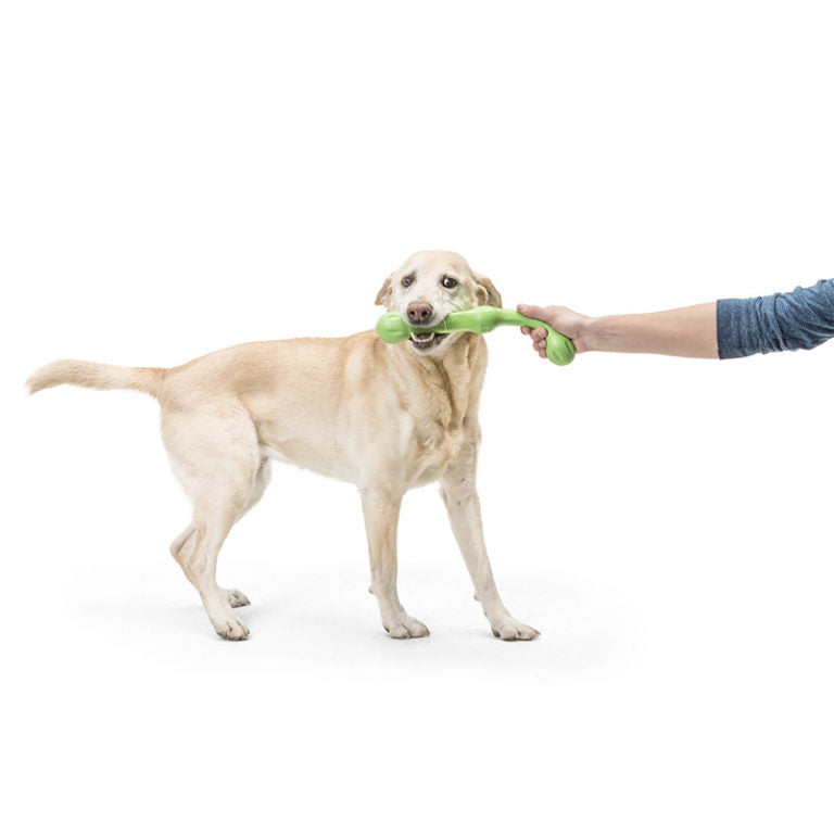 West Paw Zwig Dog Toy