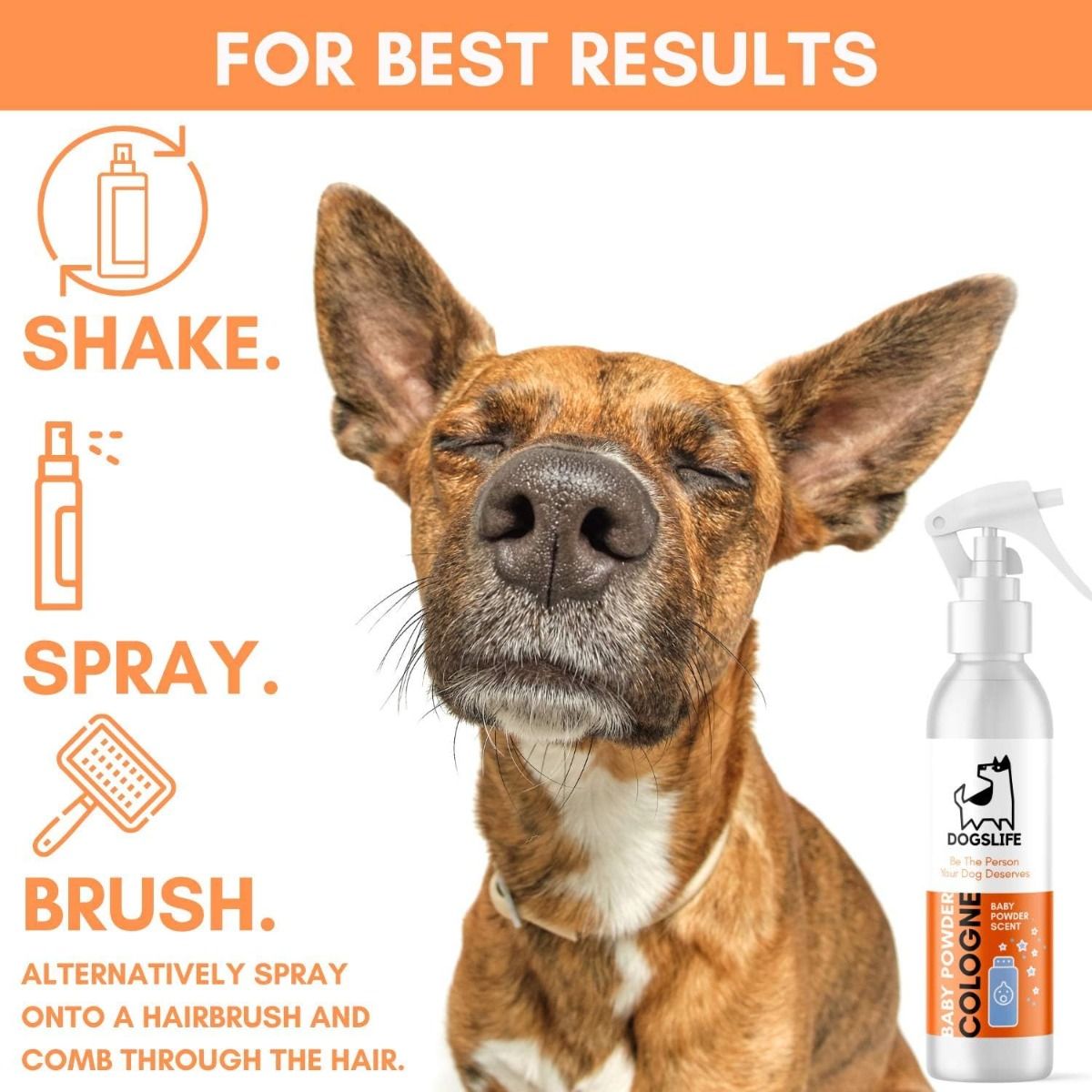 DogsLife Baby Powder Cologne Dog Spray