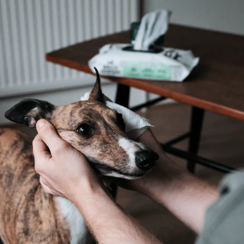 Beco Bamboo Unscented Dog Wipes