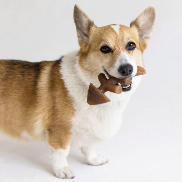 Benebone Fishbone Dog Toy