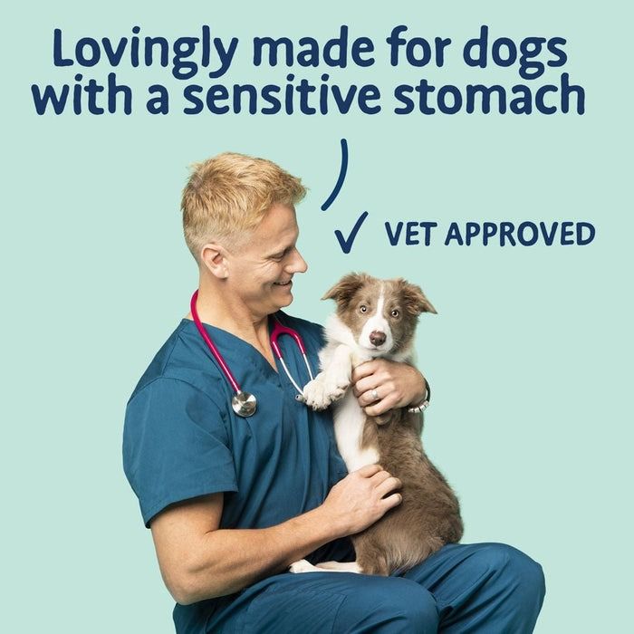 Barking Heads Tummy Loving Care Fish Dry Dog Food