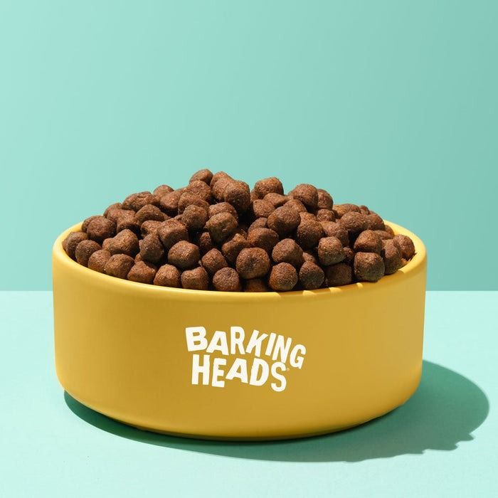 Barking Heads All Hounder Bowl Licken Goodness Lamb Dry Dog Food