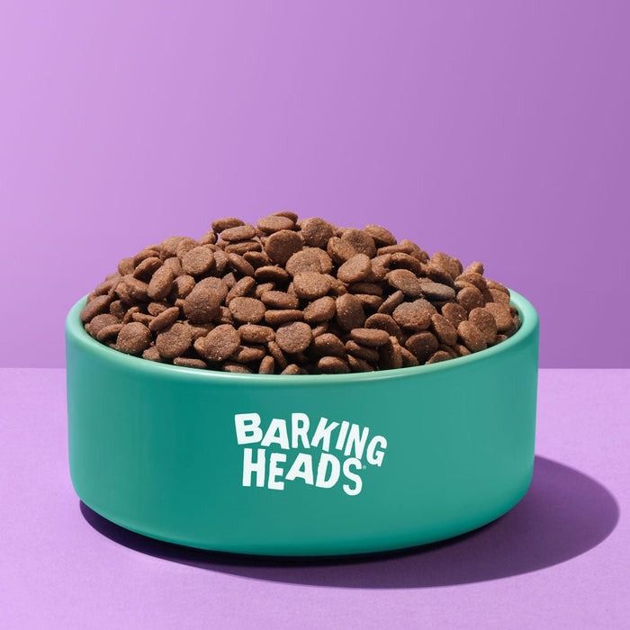 Barking Heads All Hounder Golden Years Chicken Dry Dog Food