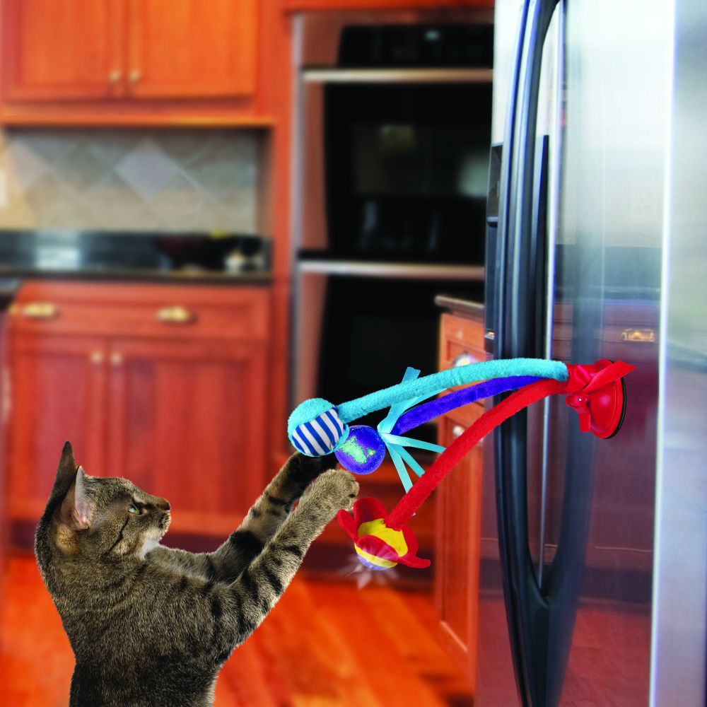 Kong Connects Bat 'N Spring Cat Toy