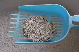 Cat Partner Bentonite Dust Free Clumping Cat Litter –25L - Baby Powder
