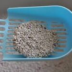Cat Partner Bentonite Dust Free Clumping Cat Litter - 10 L - Green Apple