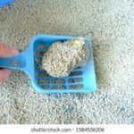 Cat Partner Bentonite Dust Free Clumping Cat Litter -10L - Coffee