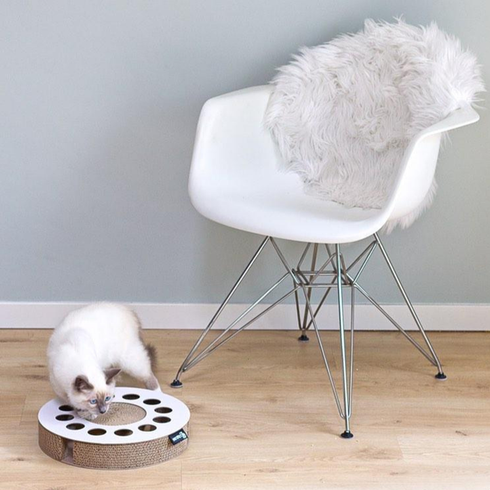 District 70 Whirl Cardboard Scratcher Cat Toy