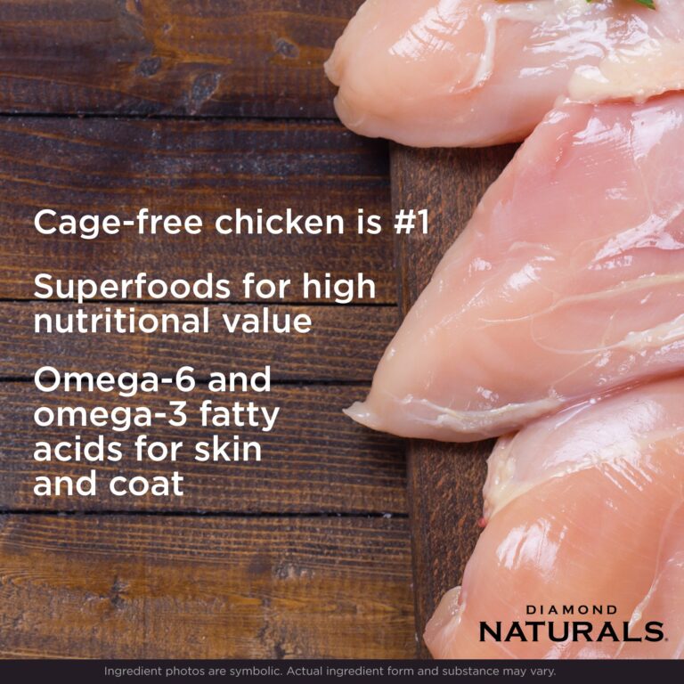 Diamond Naturals Small and Medium Breed Puppy Rich in Chicken & Rice 2kg