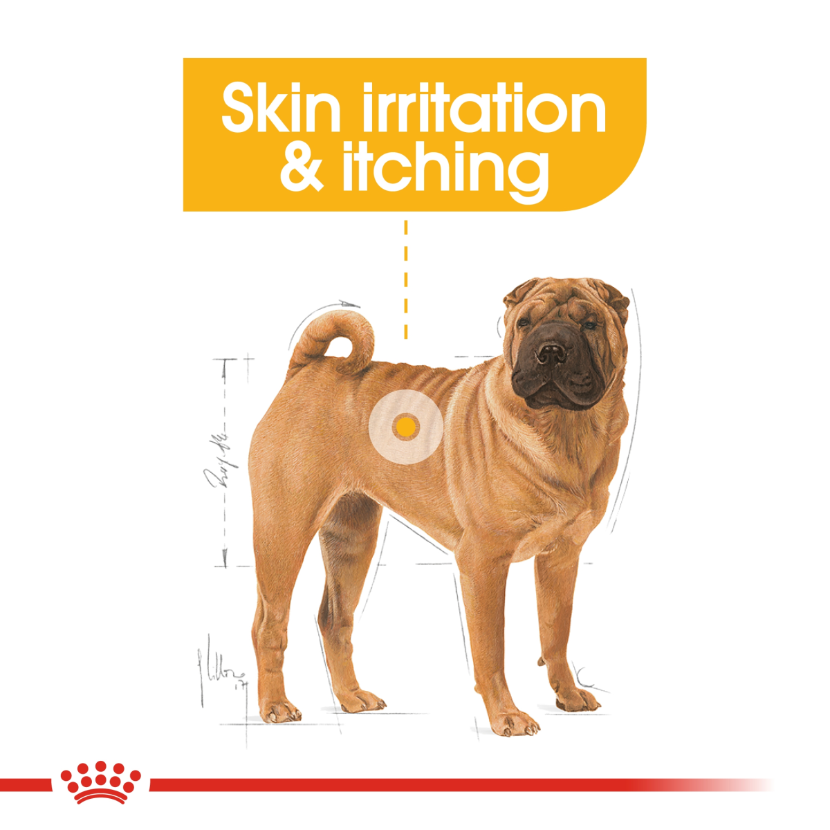 Royal Canin Canine Care Nutrition Medium Dermacomfort 12 kg