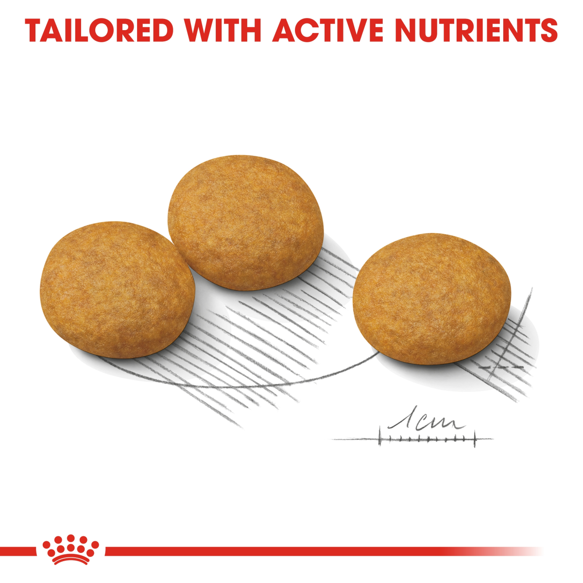Royal Canin Canine Care Nutrition Medium Dermacomfort 3 kg