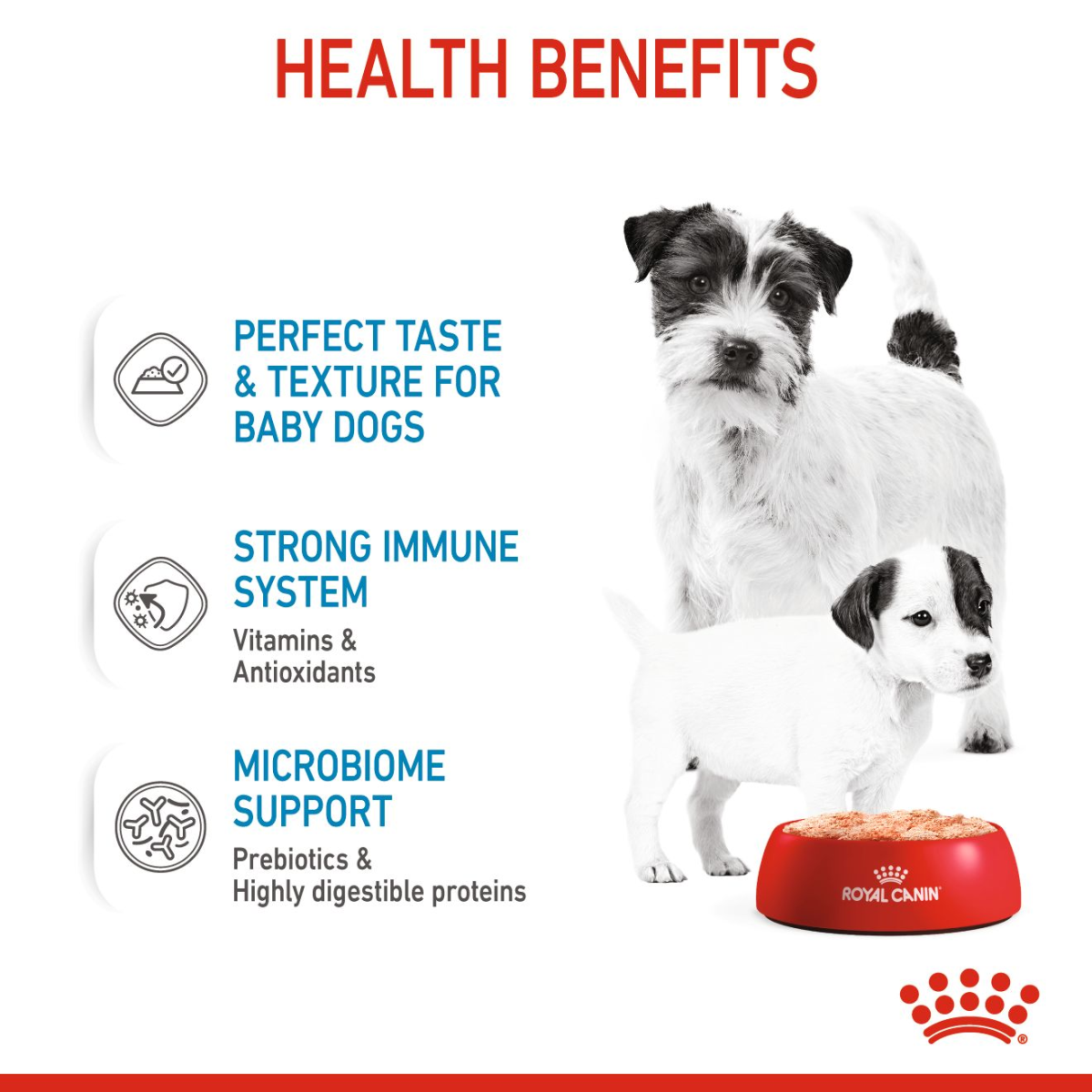 Royal Canin Canine Health Nutrition Starter Mousse (Wet Food - Cans) 12 x 195 g