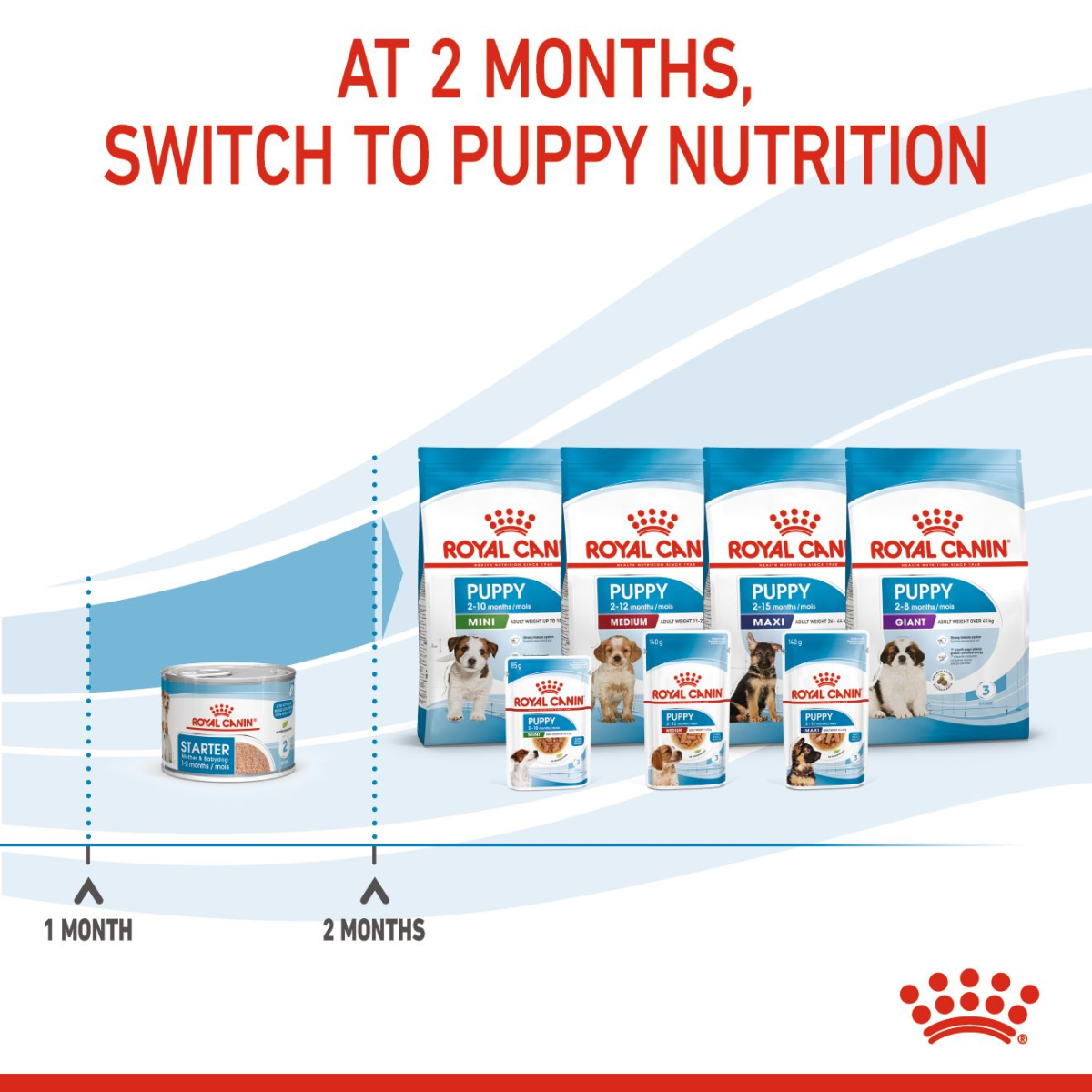 Royal Canin Canine Health Nutrition Starter Mousse (Wet Food - Cans) 12 x 195 g