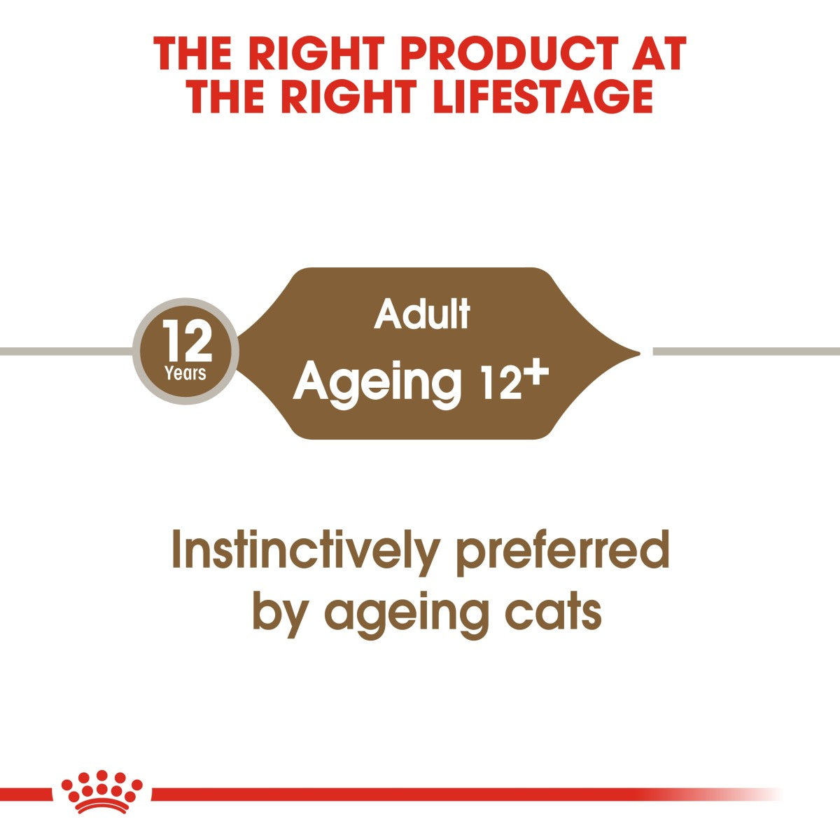 Royal Canin Feline Health Nutrition Ageing 12+ Gravy (Wet Food - Pouches) 12 x 85 g