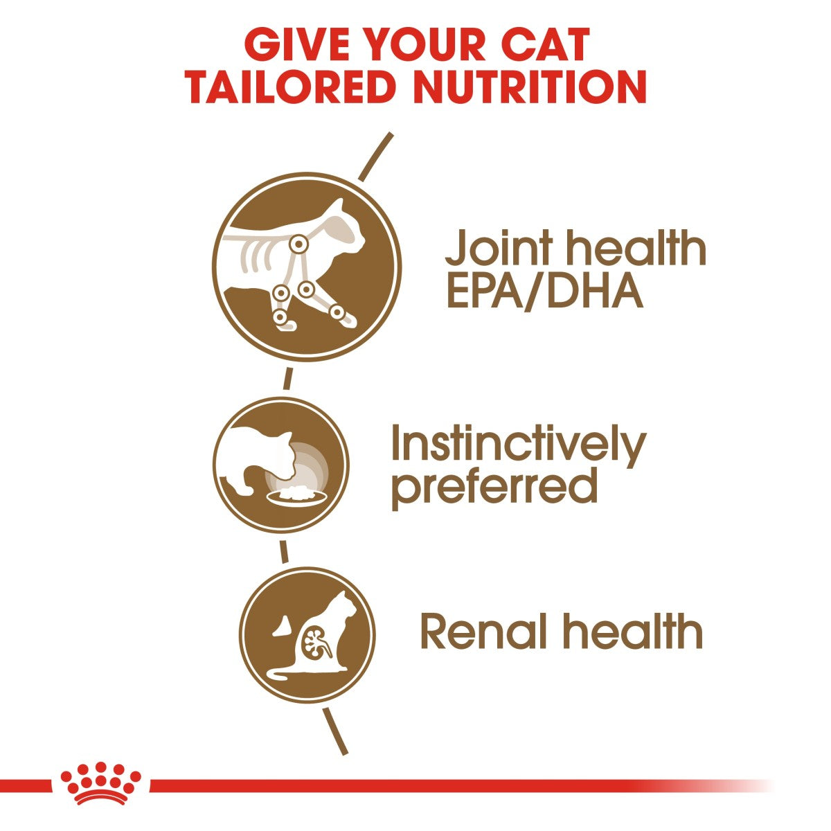 Royal Canin Feline Health Nutrition Ageing 12+ Jelly (Wet Food - Pouches) 12 x 85 g