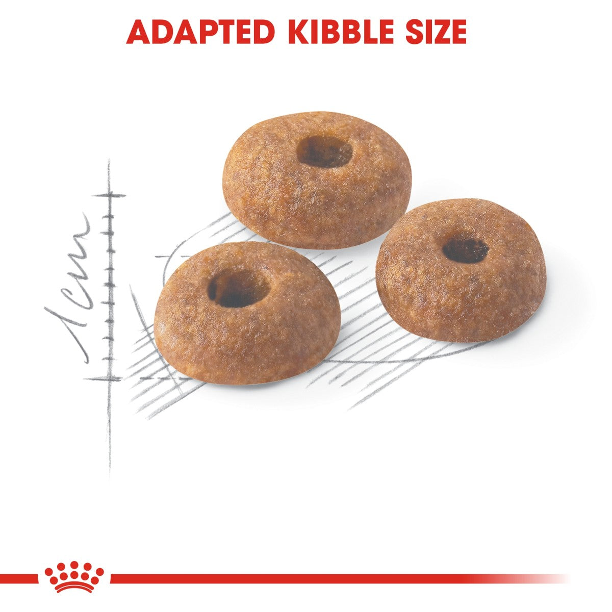 Royal Canin Feline Health Nutrition Fit 32 - 2 kg