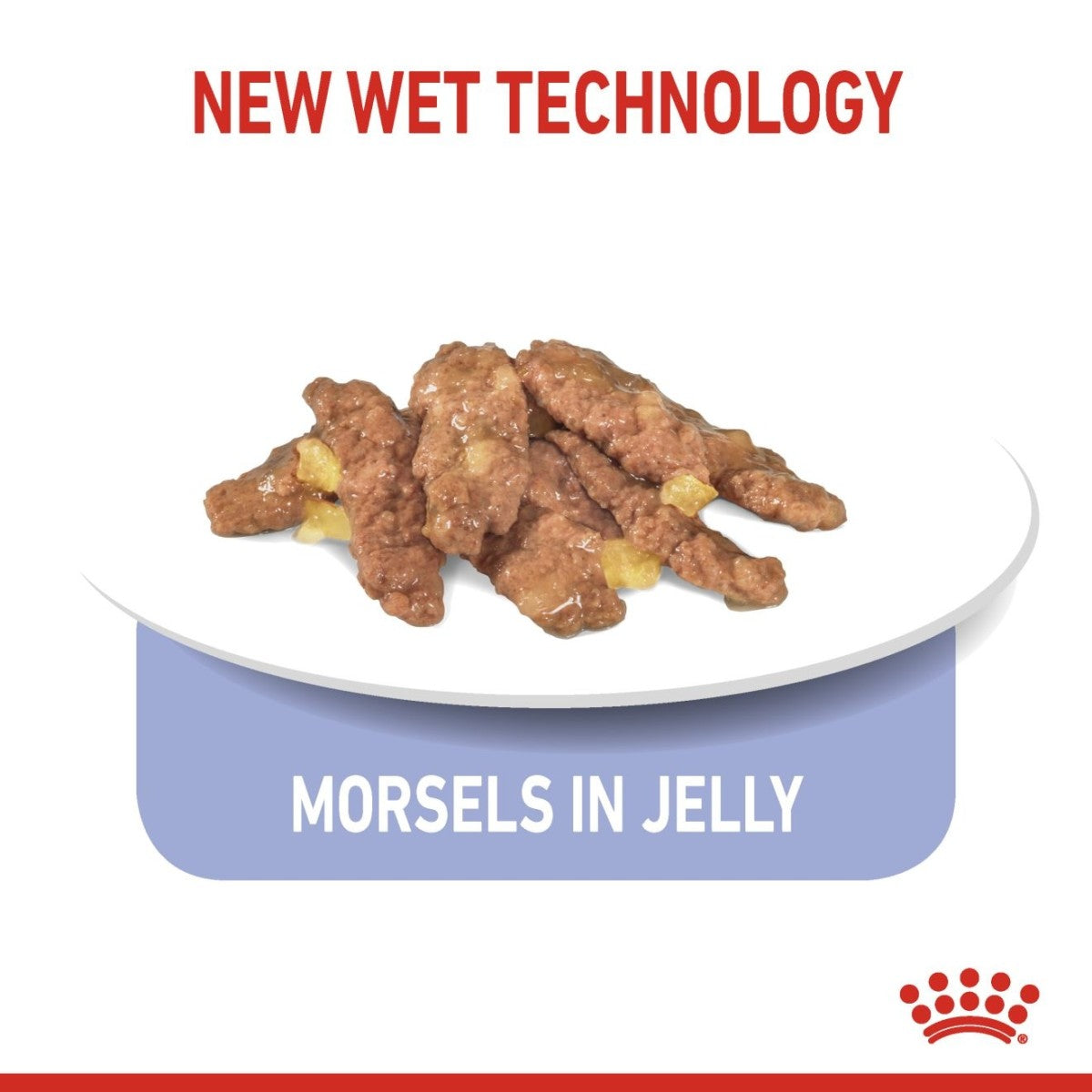 Royal Canin Feline Health Nutrition Indoor Jelly (Wet Food - Pouches) 12 x 85 g