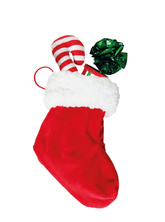 Bobby Christmas Cat Toy Stocking Gift 5/pk