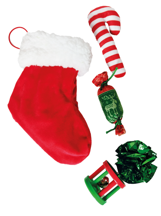 Bobby Christmas Cat Toy Stocking Gift 5/pk