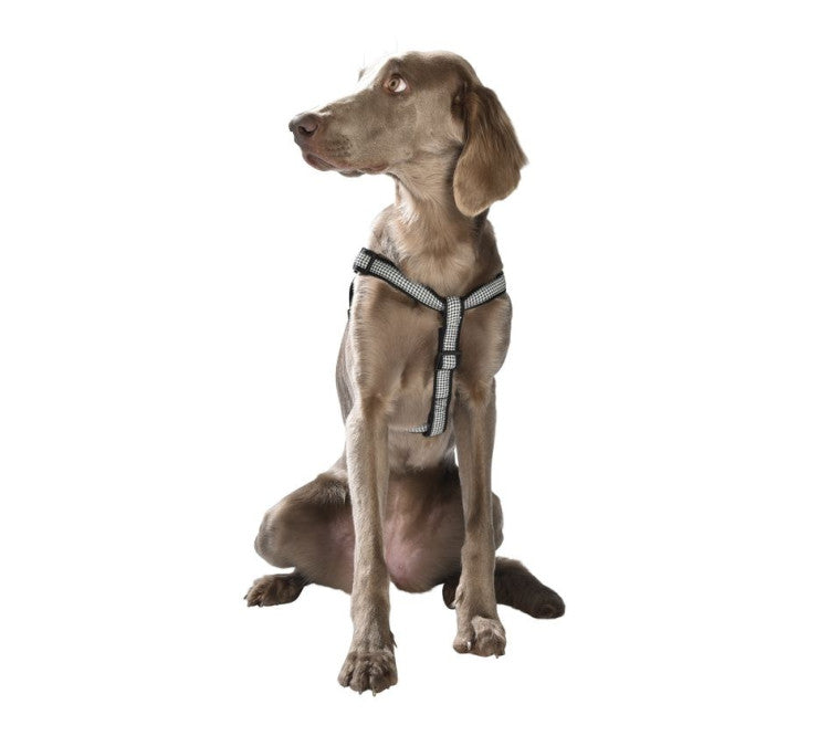 Bobby Classique Chic Harness Black, Large