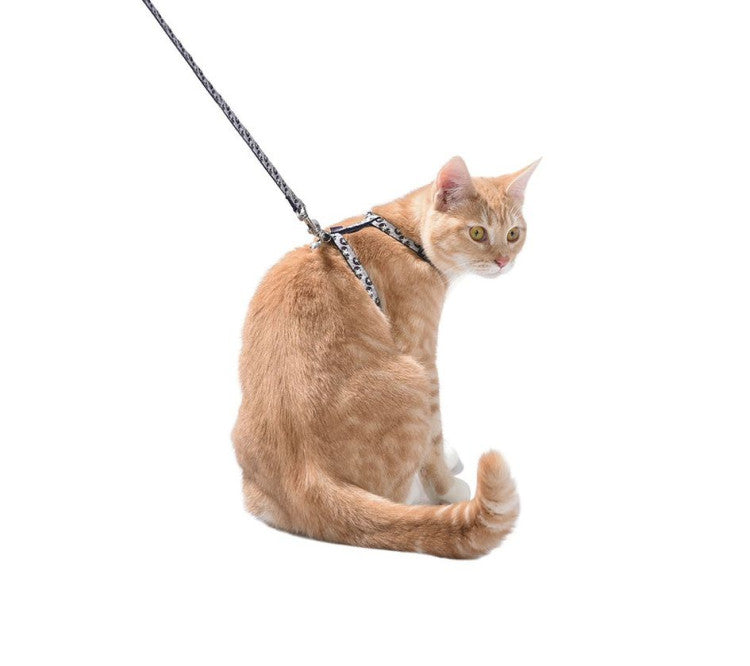 Bobby Confetti Cat Harness & Lead Mauve, XSmall