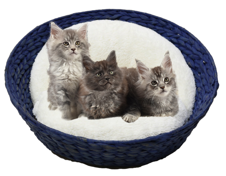 Bobby Green Basket Blue 70 cm