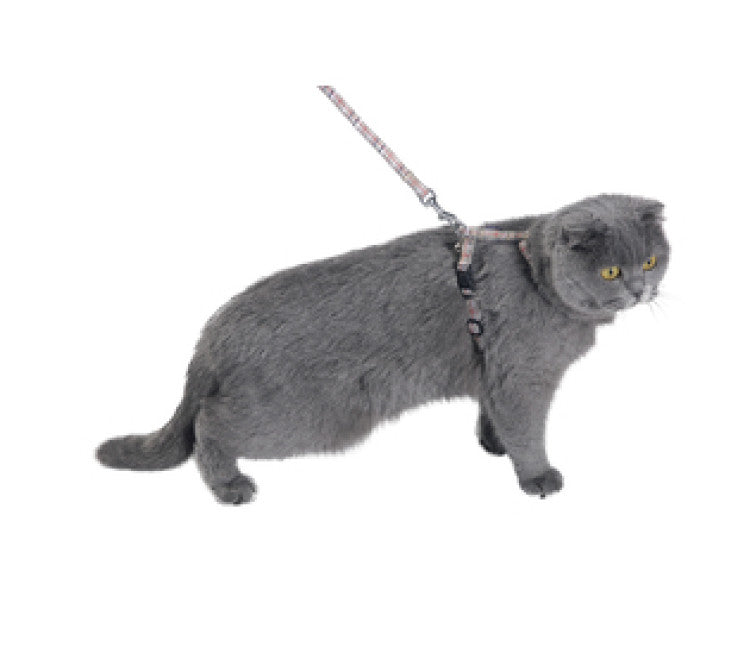 Bobby Kilt Cat Harness & Lead Beige, XSmall