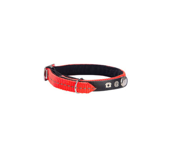 Bobby Lost Cat Collar Orange
