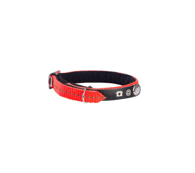 Bobby Lost Cat Collar Orange