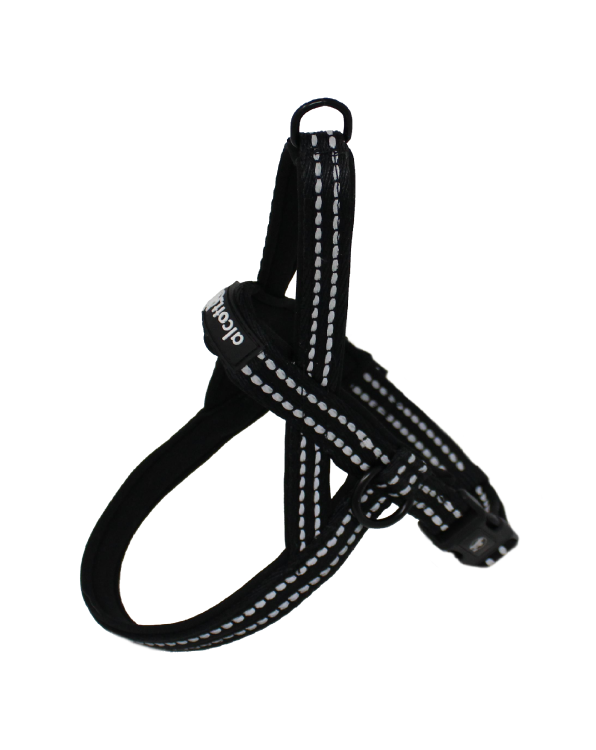 Alcott Norwegian Harness Large, Black