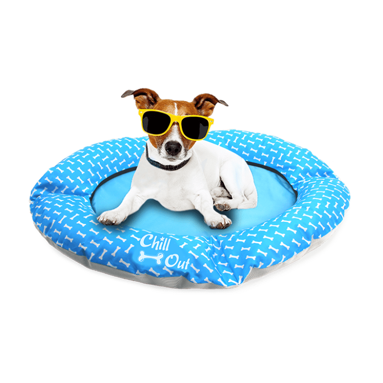 afp Chill Out Floating Bed