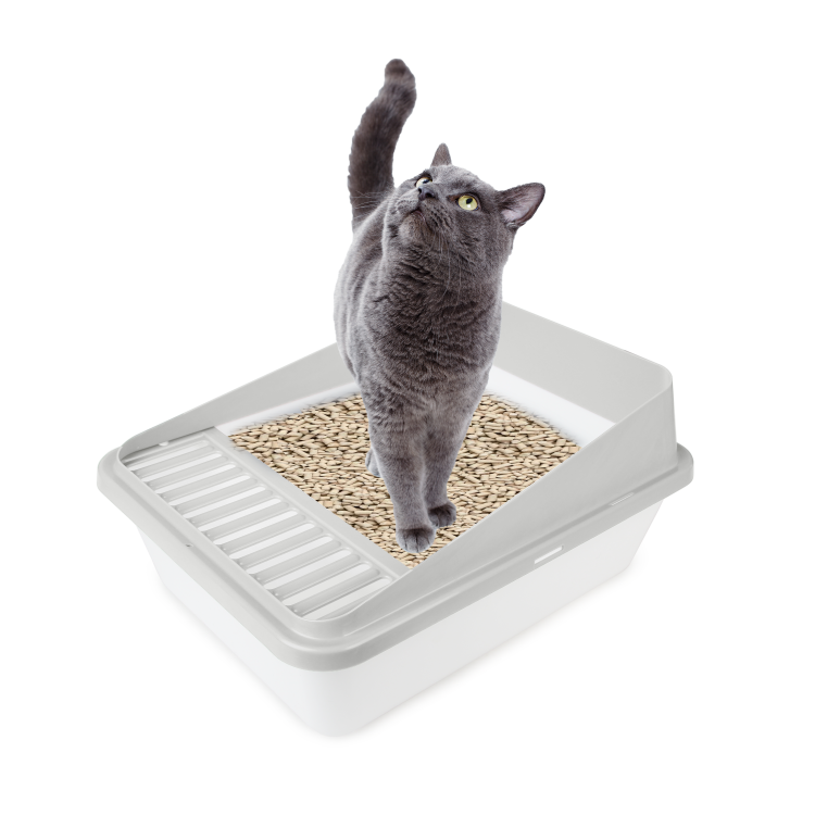 afp Go Fresh High Back Cat Litter Box Small Sand