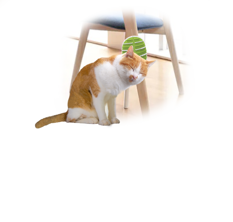 afp Lifestyle 4 Pets 2-in-1 Groomer