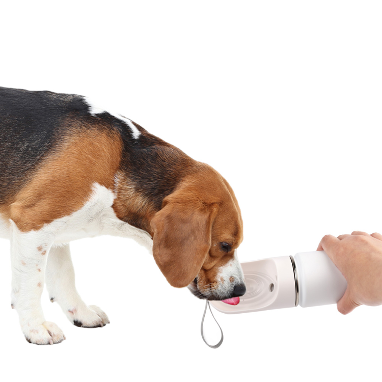 afp Lifestyle 4 Pets 2-in-1 Stainless Drinking Bottle 400 ml /14 oz