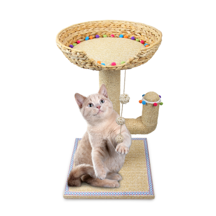 afp Whisker Fiesta Cactus Cat Tree