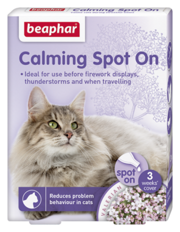 Calming Spot on Cat