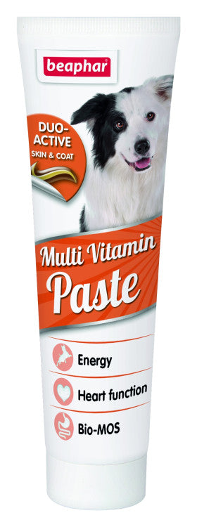 Duo Active Paste Multivitamin Dog 100 g