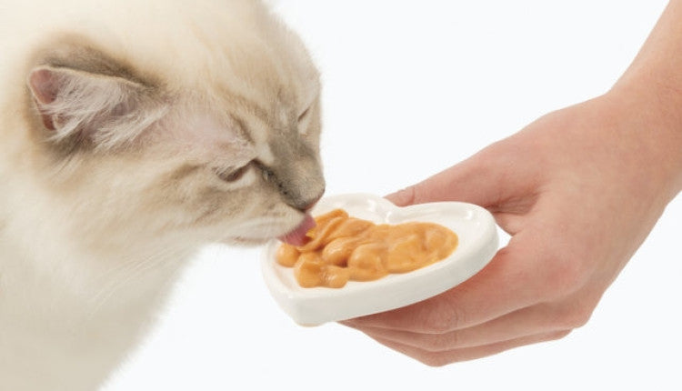 Catit Creamy Lickable Treats, Chicken, 12pk/box
