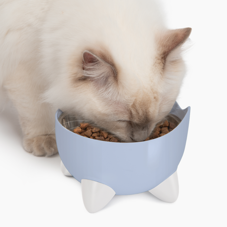 CatIt Pixi Drinking Fountain Combo Pack, Blue