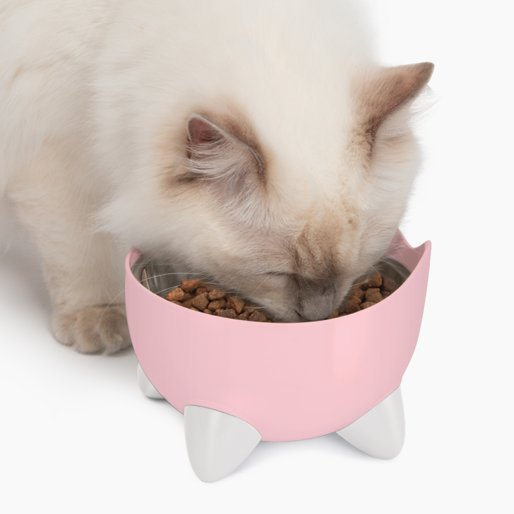 CatIt Pixi Drinking Fountain Combo Pack, Pink