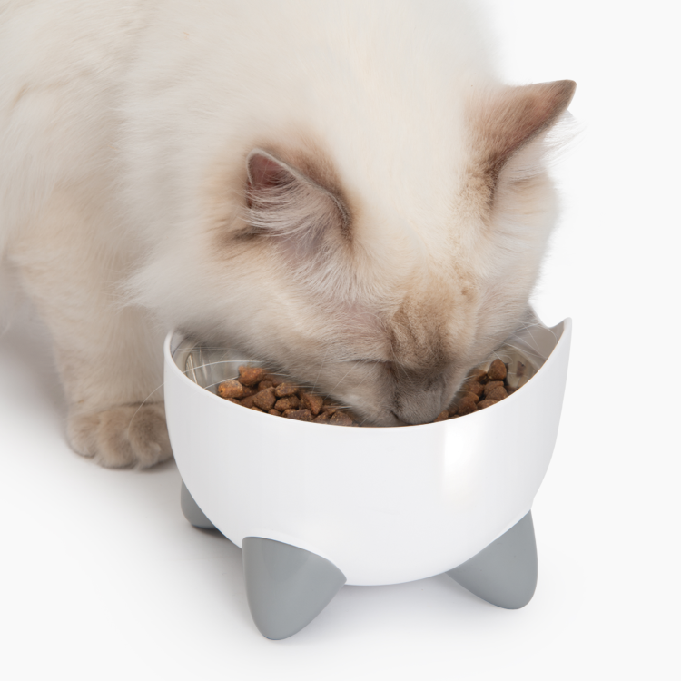CatIt Pixi Drinking Fountain Combo Pack, White