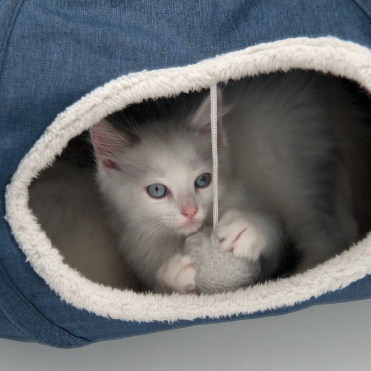 Catit Vesper Tunnel Blue