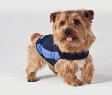 Thundershirt Dog Blue, 2XSmall