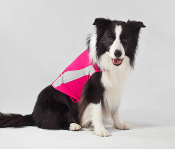 Thundershirt Dog Pink, Small