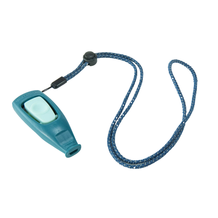 Coachi Puppy & Mini Whizzclick Teal & Mint