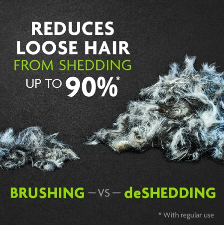 FURminator Undercoat deShedding Tool – Medium and Large Cat, Long Hair