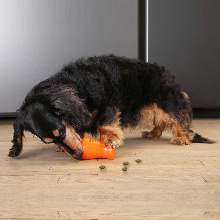 BIONIC Treat Shaker Large, 16 cm
